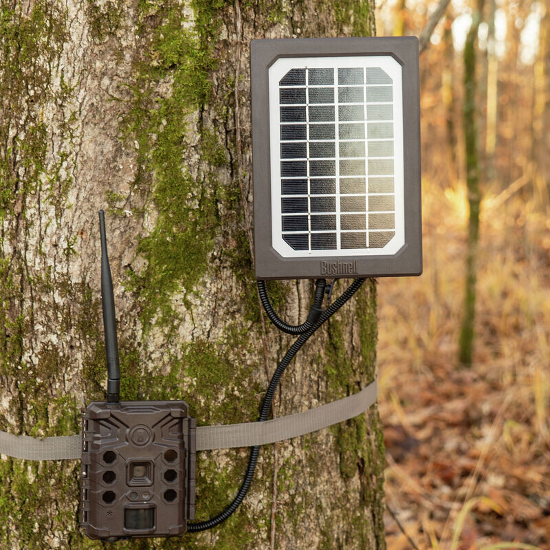 Bushnell Solpanel Tan Universal, Box