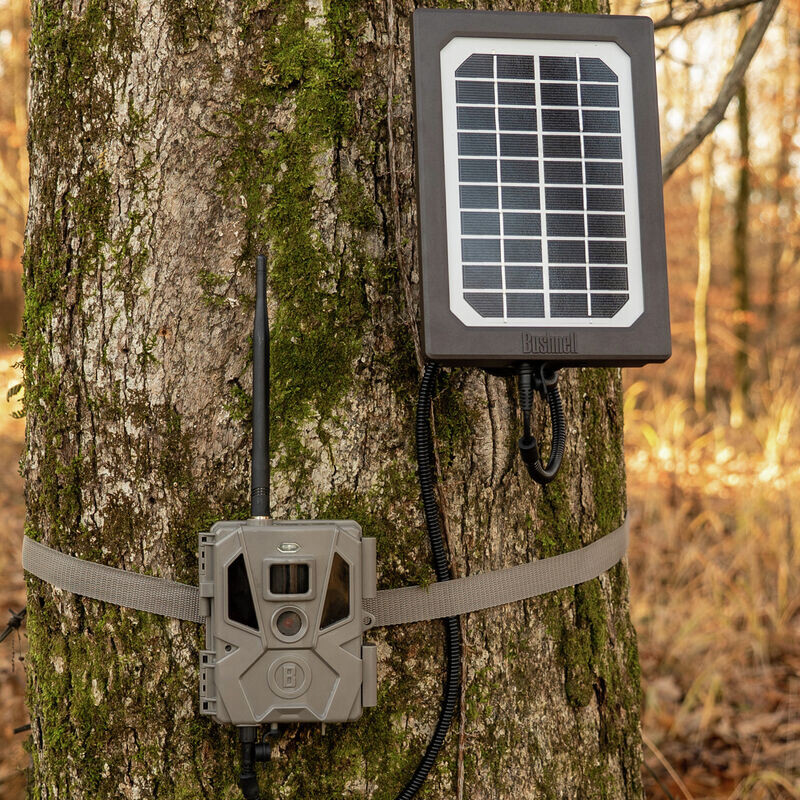 Bushnell Solpanel Tan Universal, Box