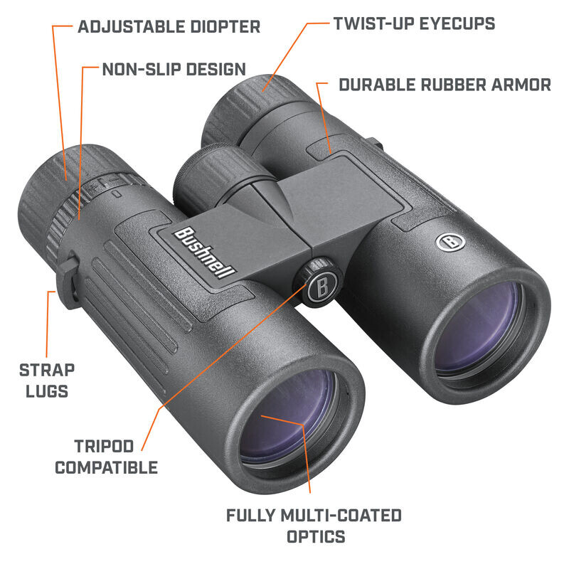 Bushnell Kikare Legend 8x42 takkant, svart, FMC