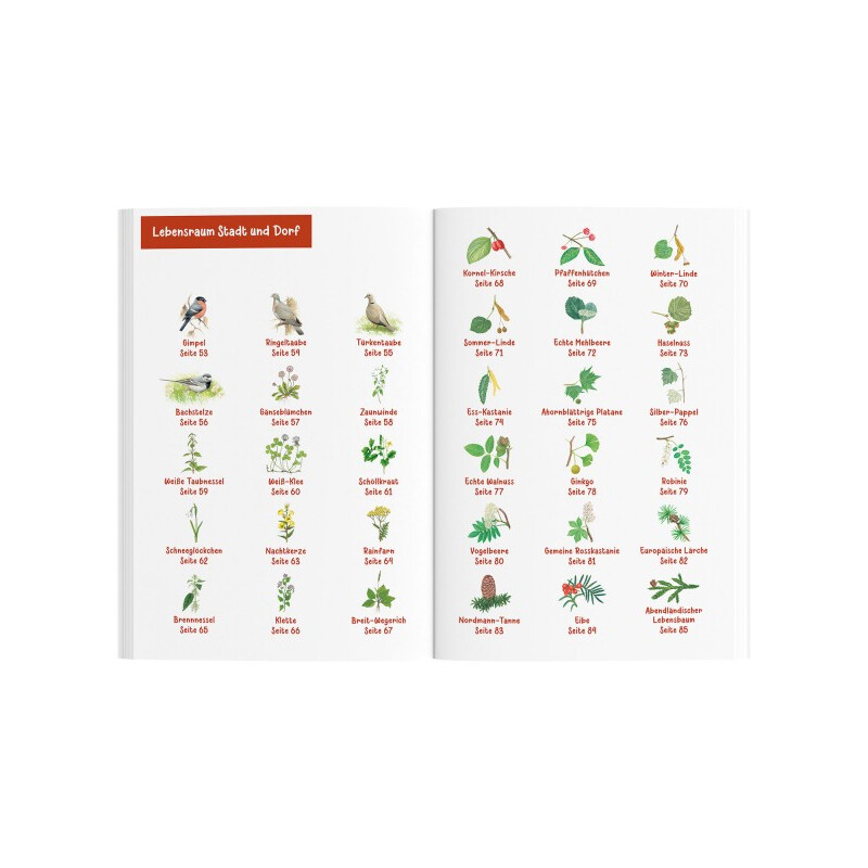 Kosmos Verlag Djur- och växtguide