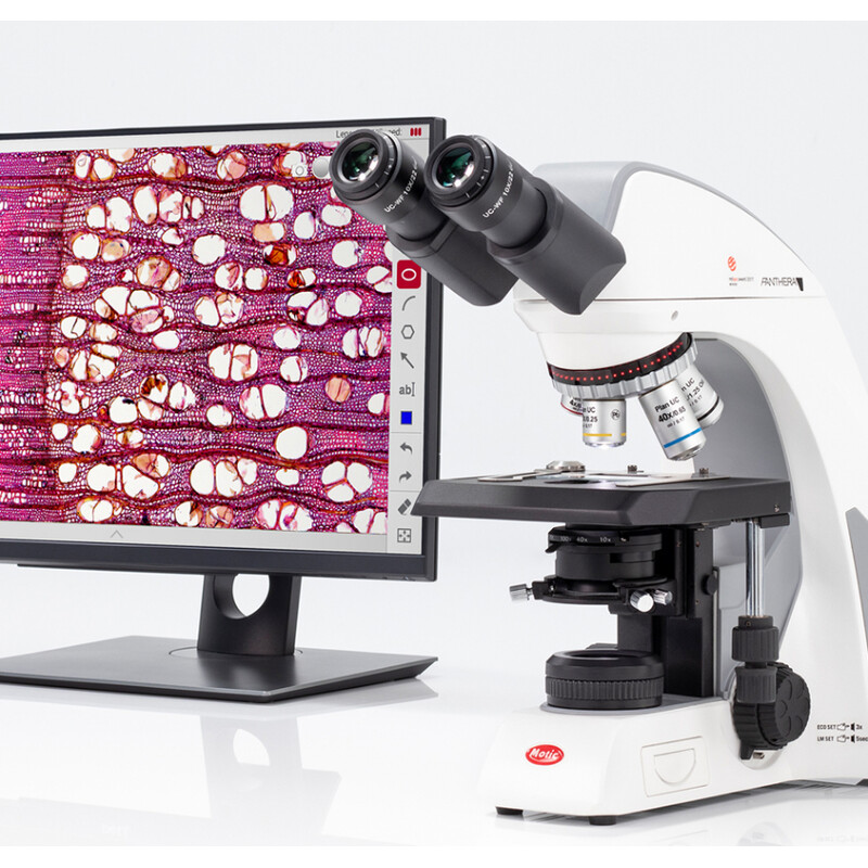 Motic mikroskop Panthera cloud, bino, digital, oändlighet, plan, achro, 40x-1000x, 10x/22mm, Halogen/LED, HDMI, 8MP