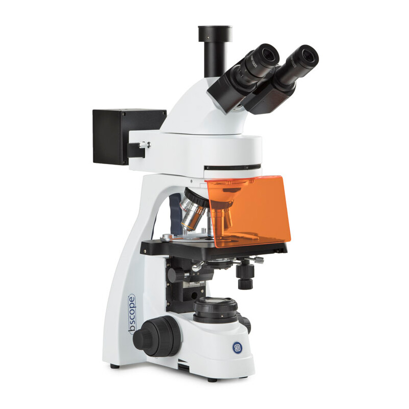 Euromex mikroskop BS.3153-PLFi, trino, 40x-1000x