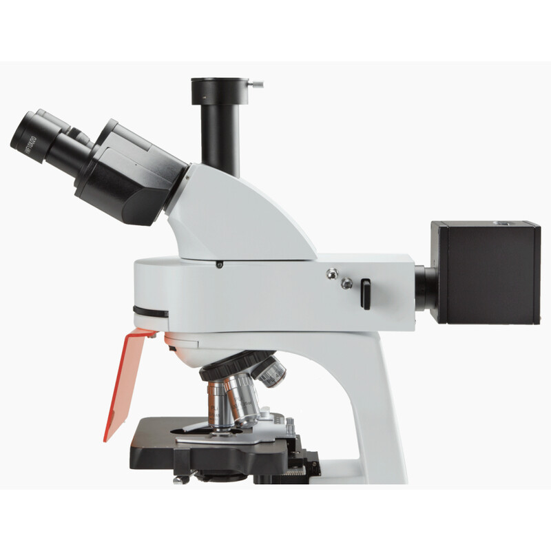 Euromex mikroskop BS.3153-PLFi, trino, 40x-1000x