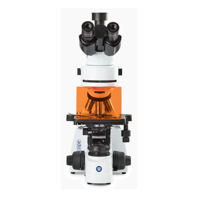 Euromex mikroskop BS.3153-PLFi, trino, 40x-1000x