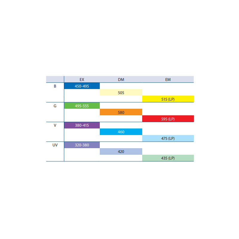 Euromex mikroskop BS.3153-PLFi, trino, 40x-1000x