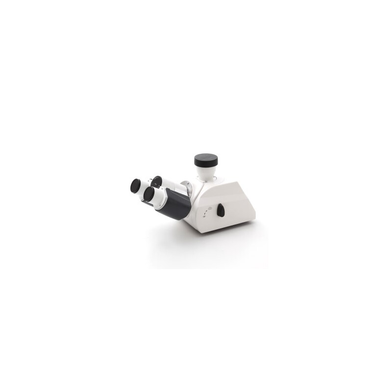 ZEISS Binokulär ergo-fototub 5-30°/23 (100:0/0:100), upprätt bild