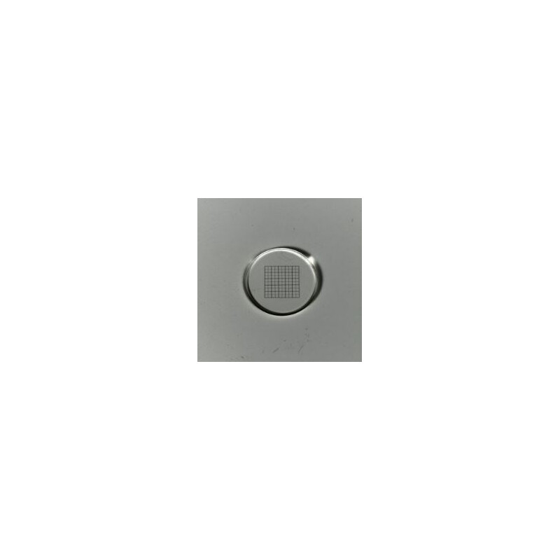 ZEISS Maskmikrometer 10x10/5:10, d=21 mm