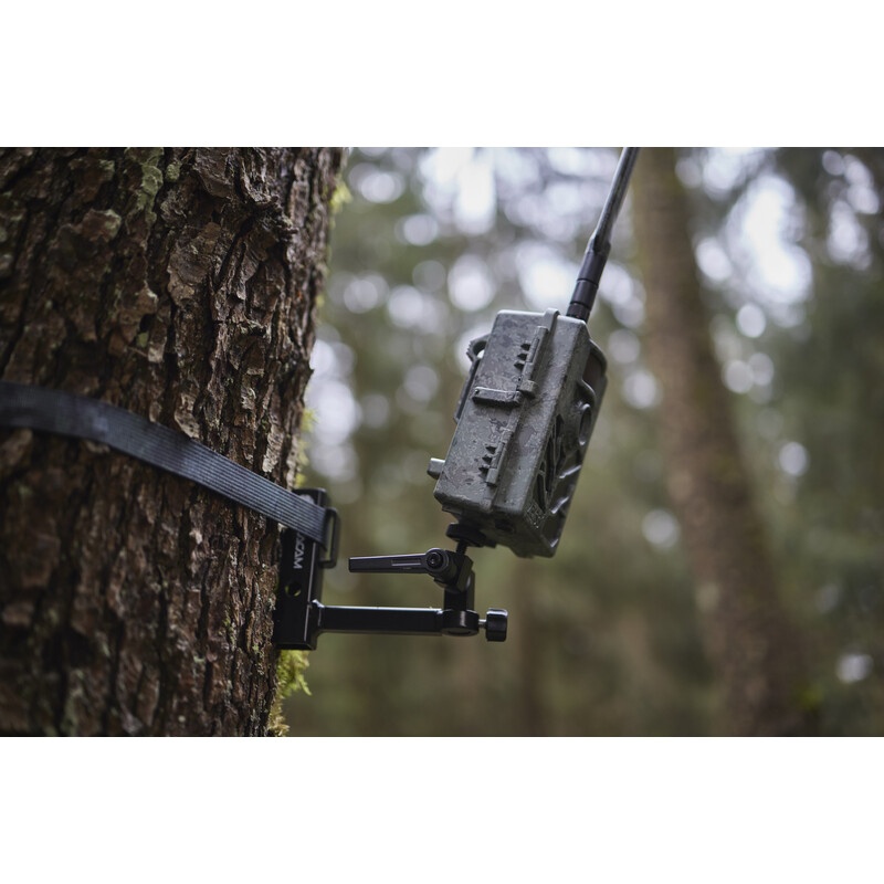 ZEISS Viltkamera Secacam 5 (förpackning om 3)