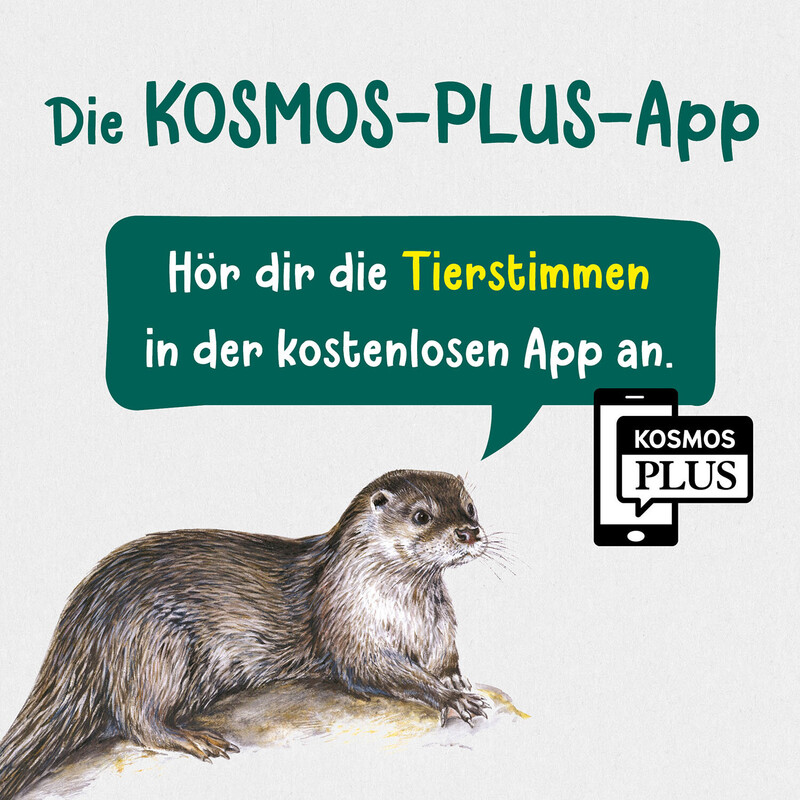 Kosmos Verlag Vad lever i bäckar och dammar?
