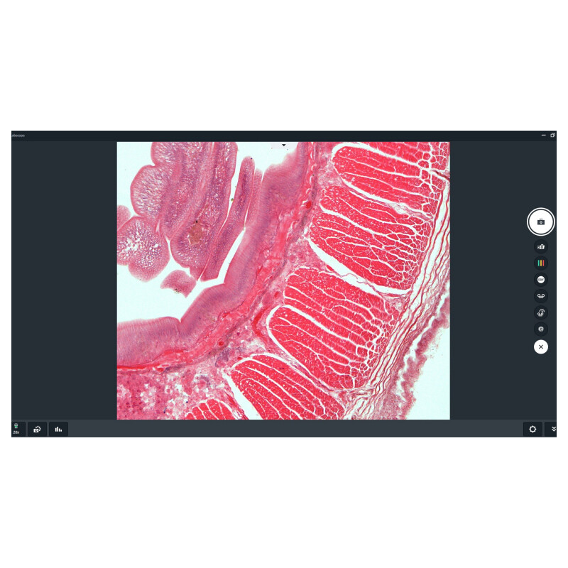 ZEISS Programvara Software Labscope Modul Multi Channel DLic