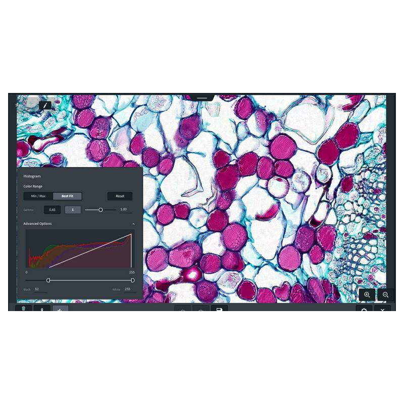 ZEISS Programvara Software Labscope Modul Multi Channel DLic