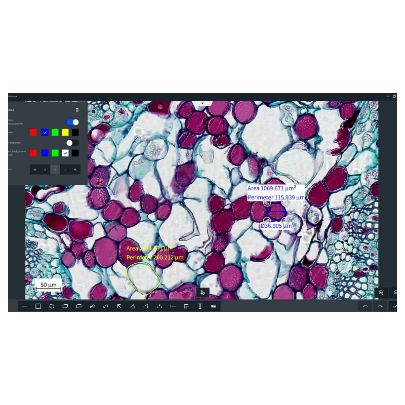 ZEISS Programvara Software Labscope Modul Multi Channel DLic