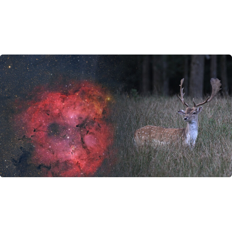 ToupTek Apokromatisk refraktor HOPE D60 60/280 f/4.66