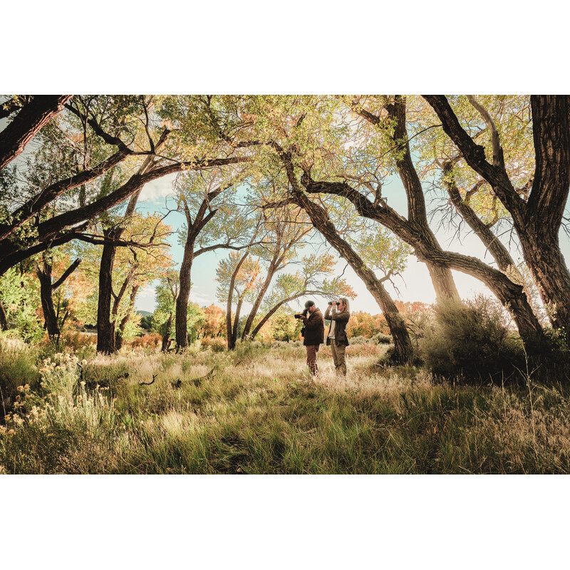 Swarovski Kompakt tubkikare AT Balance 18-45x65