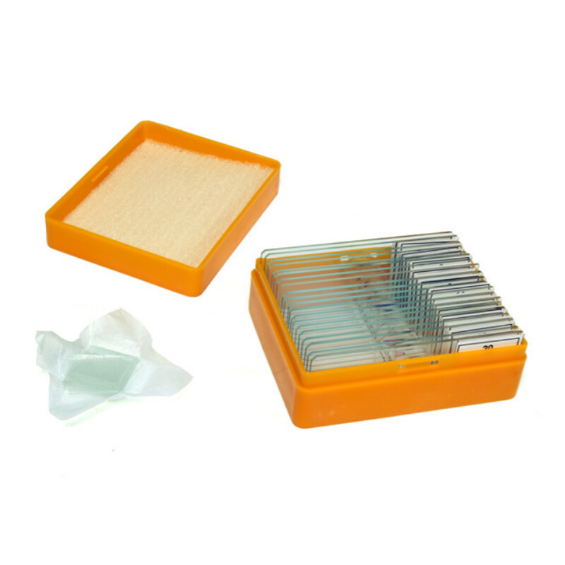 Levenhuk Permanenta preparat N20 NG