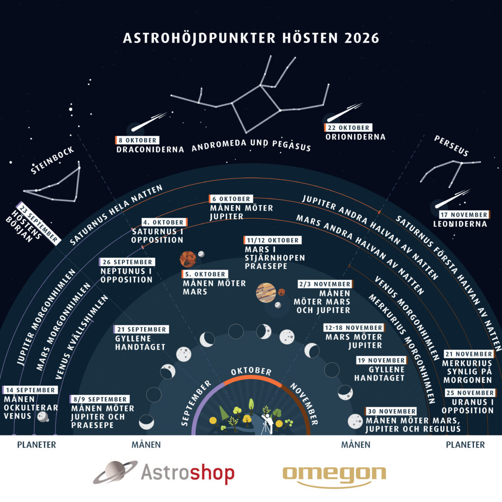 infographic